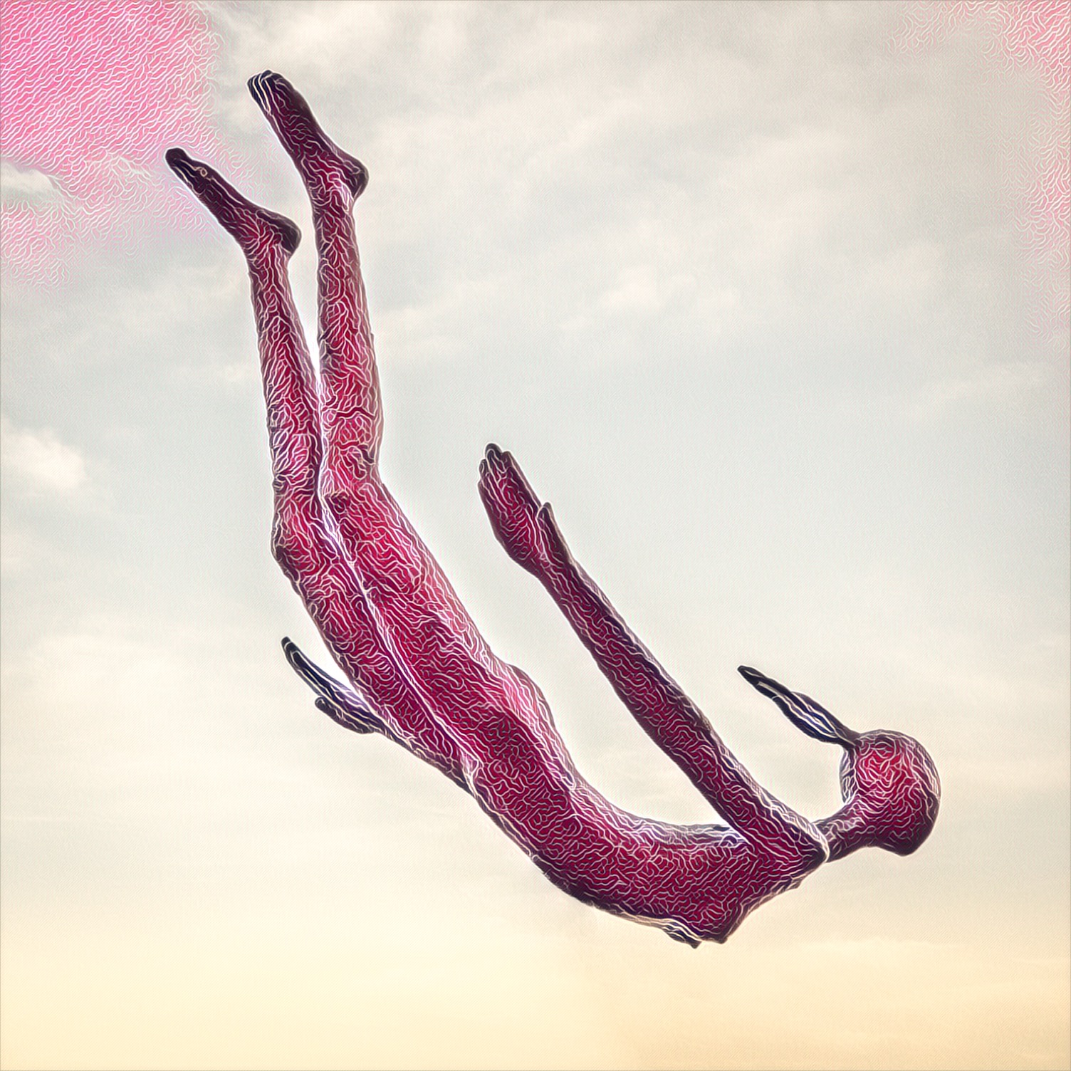 Flight